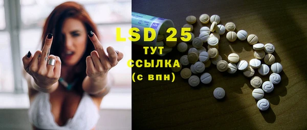 ГАЛЛЮЦИНОГЕННЫЕ ГРИБЫ Аркадак