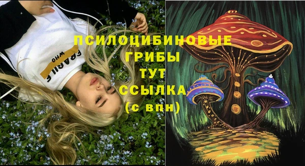 ГАЛЛЮЦИНОГЕННЫЕ ГРИБЫ Аркадак